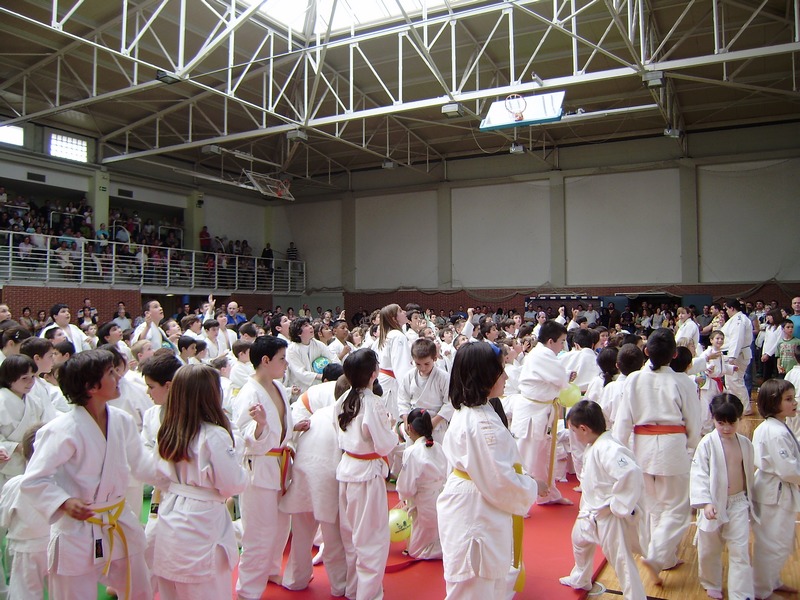 Juegos Infantiles de Judo